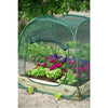 pop-up drivhus 100 x 100 x 100 cm 6020409