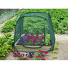 pop-up drivhus 100 x 100 x 100 cm 6020409