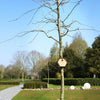 fuglehus Hive 1 19x23x20 cm rundt hul brun