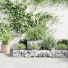gabion-plantekasse galvaniseret stål 120 x 120 x 20 cm