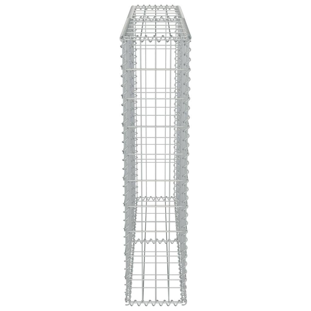 gabionvæg med dæksler galvaniseret stål 100 x 20 x 100 cm