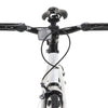 cykel 1 gear 700c 55 cm hvid og grøn