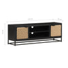 tv-skab 120x30x40 cm ru mangotræ