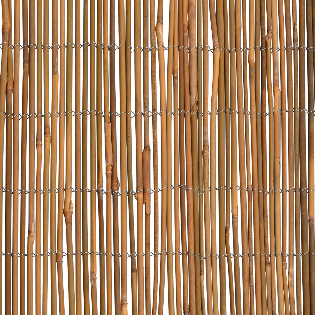bambushegn 500x100 cm