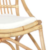 rattanstol linned