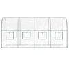 drivhus 160x400x190 cm PVC og pulverlakeret stål transparent
