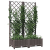 plantekasse med espalier 80x40x121,5 cm PP brun