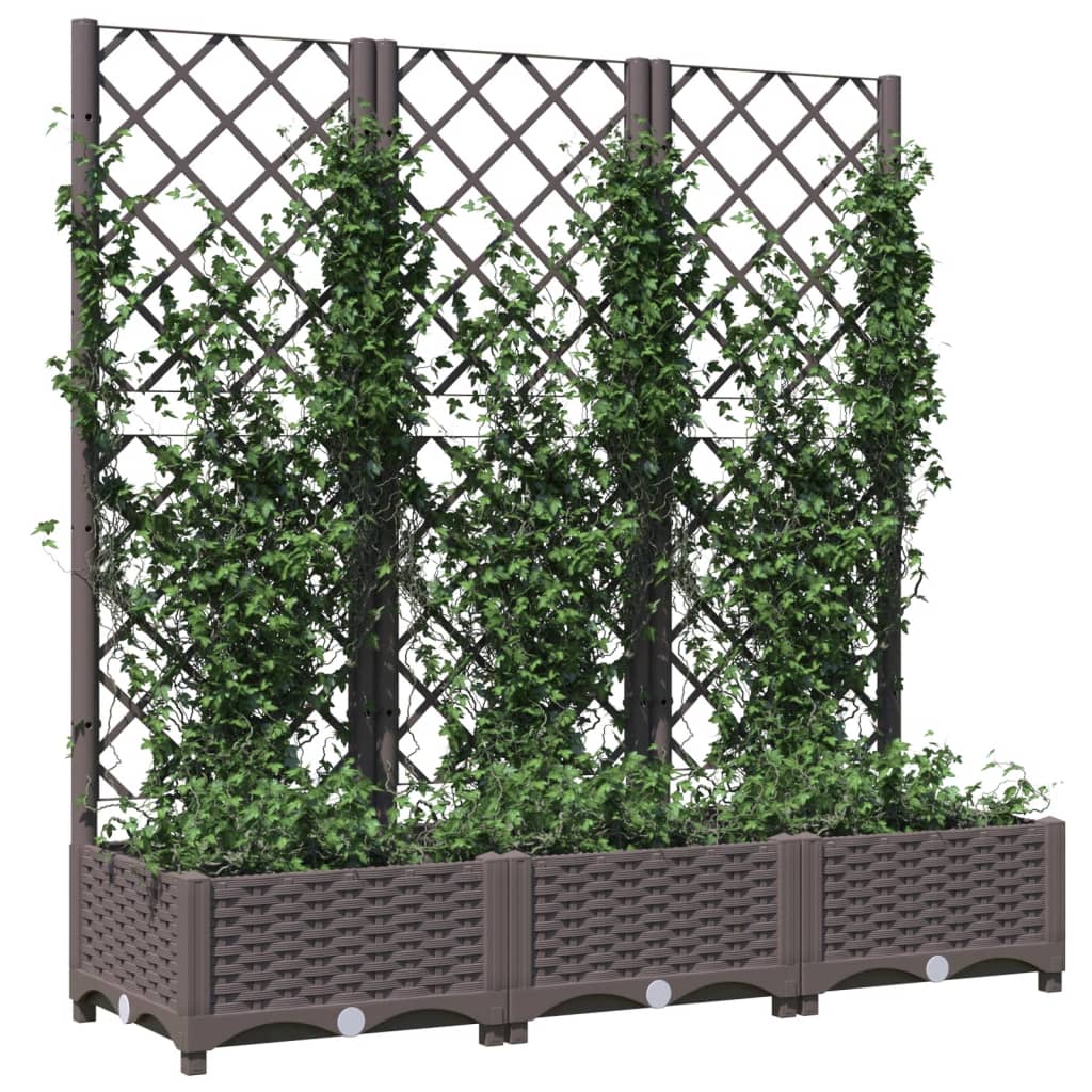 plantekasse med espalier 120x40x121,5 cm PP brun