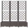 plantekasse med espalier 120x40x121,5 cm PP brun