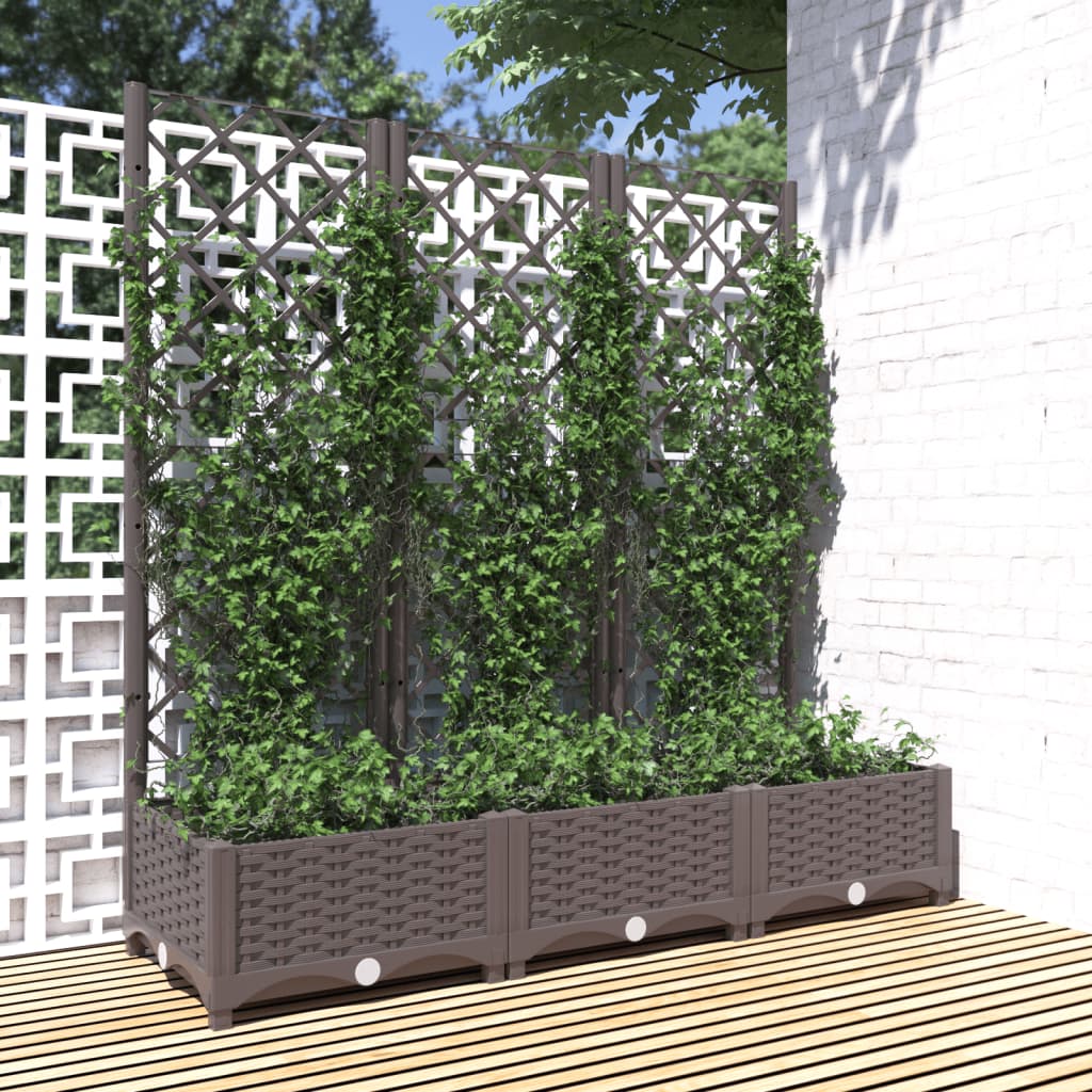plantekasse med espalier 120x40x121,5 cm PP brun
