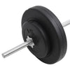 vægtstangssæt med skiver 30 kg