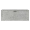 væghængt skoskab 100x35x38 cm konstrueret træ betongrå