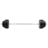 vægtstang med skiver 60 kg