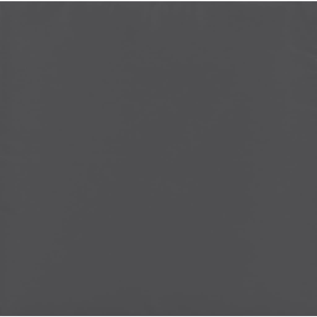 loungesæt til haven 2 dele med hynder stål antracitgrå