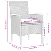 havestole med hynder 2 stk. polyrattan beige