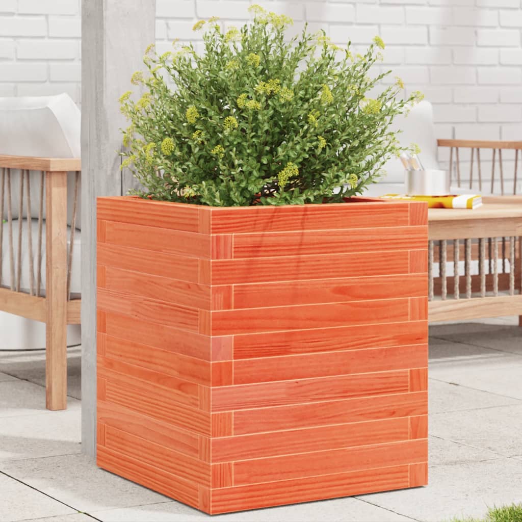 plantekasse 40x40x46 cm massivt fyrretræ gyldenbrun