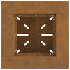 Bålsted Brun 48 x 48 x 40 cm Forvitret stål