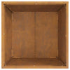 Bålsted Brun 50 x 50 x 38 cm Forvitret stål