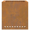 Bålsted Brun 48 x 48 x 50 cm Forvitret stål