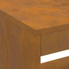 Bålsted Brun 160 x 45 x 35 cm Forvitret stål