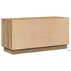 TV Skab med LED artisan eg 100 x 38 x 49 cm Konstrueret træ