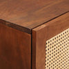 Høj skab Brun 40 x 33.5 x 110 cm Rattan og solid mango træ
