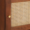 Høj skab Brun 40 x 33.5 x 110 cm Rattan og solid mango træ