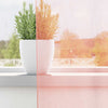 voile-gardiner med løkker 2 stk. 140x225 cm lyserød
