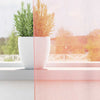 voile-gardiner med løkker 2 stk. 140x245 cm lyserød