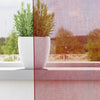 voile-gardiner med løkker 2 stk. 140x245 cm vinrød