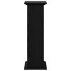 Displaystander med dør Sort eg 31 x 30 x 90 cm Konstrueret træ