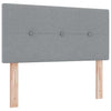 Box spring seng med madras Lysegrå 120 x 190 cm Stof