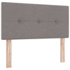 Box spring seng med madras Gråbrun 120 x 190 cm Stof