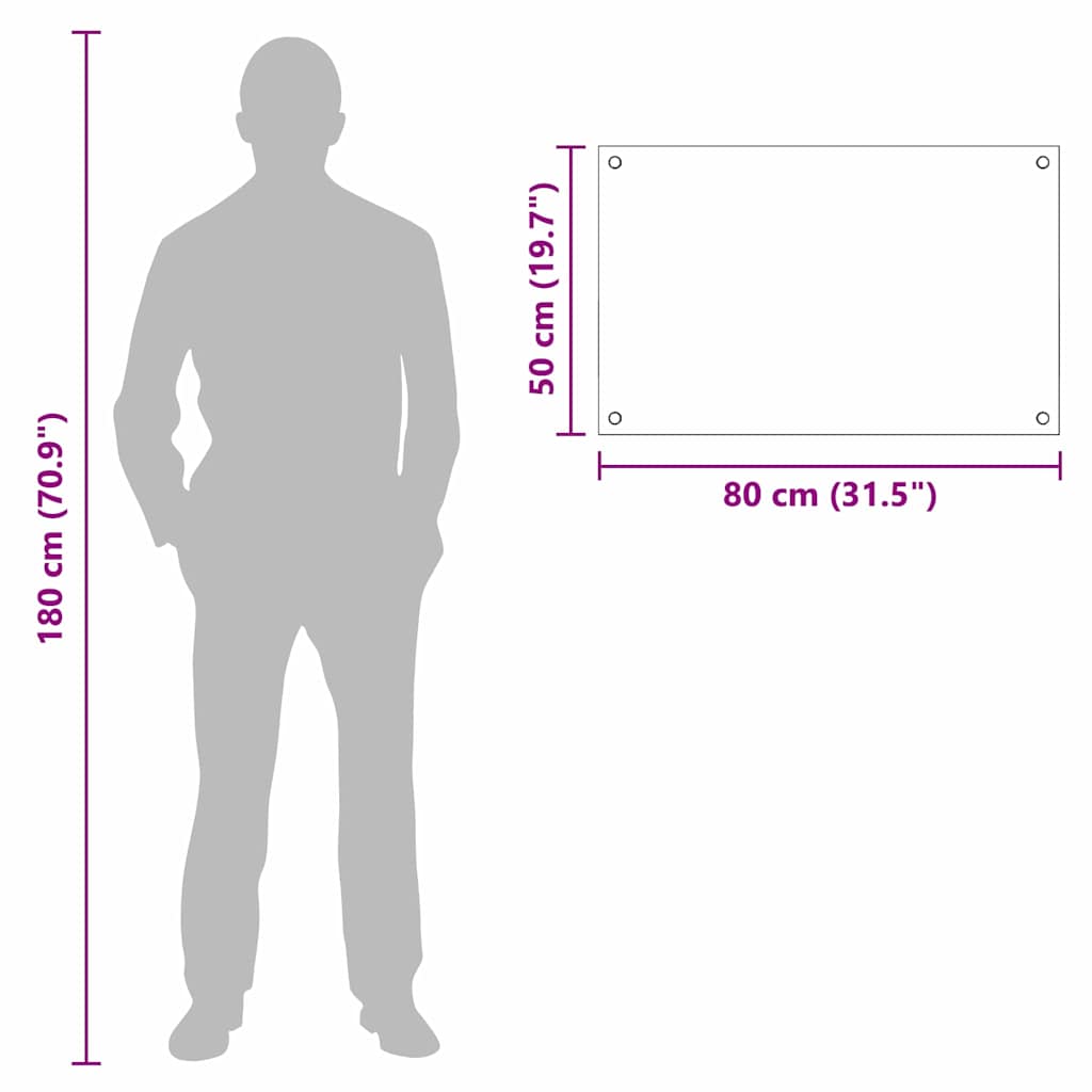 Køkken bagvæg Transparent 80 x 50 cm hærdet glas
