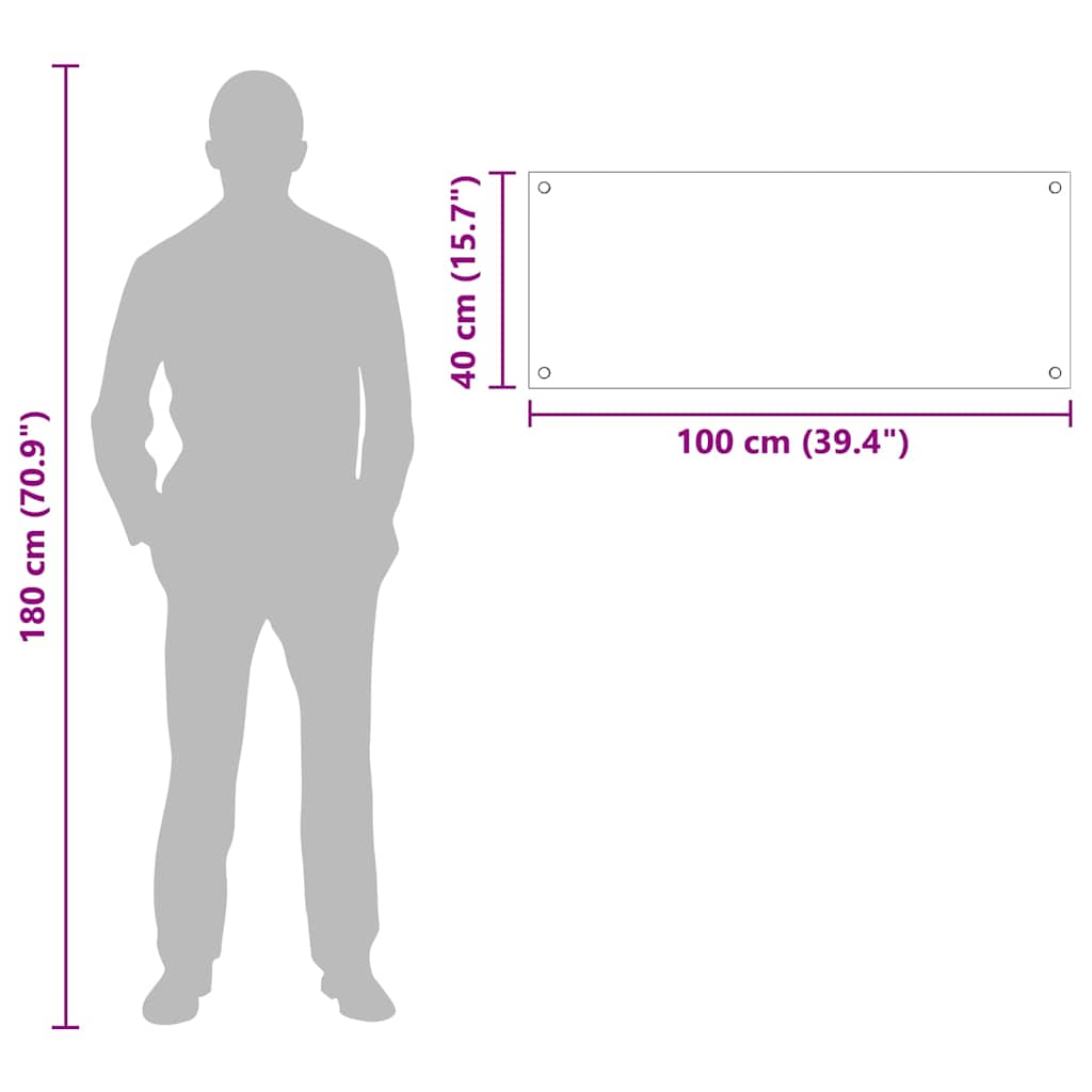 Køkken bagvæg Transparent 100 x 40 cm hærdet glas