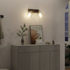 Loftlamper med justerbar glaskuppel Anthracite E27