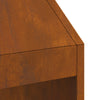 Brandovn 50x50x100 cm Vejrresistent Stål